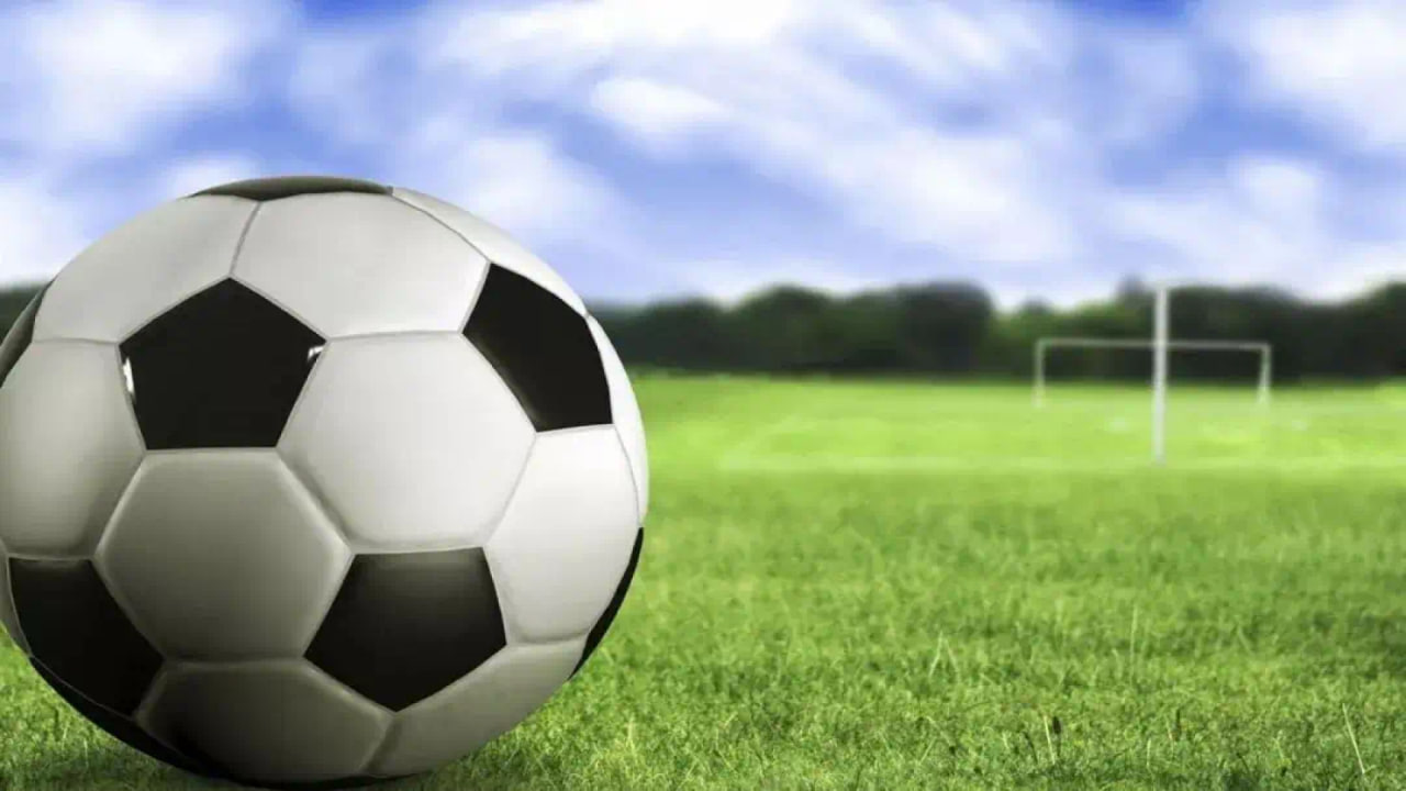 查询结果展示界面